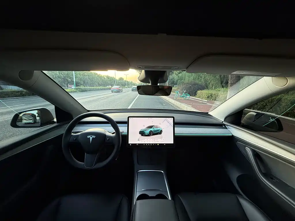 Tesla Model Y — миниатюра 15