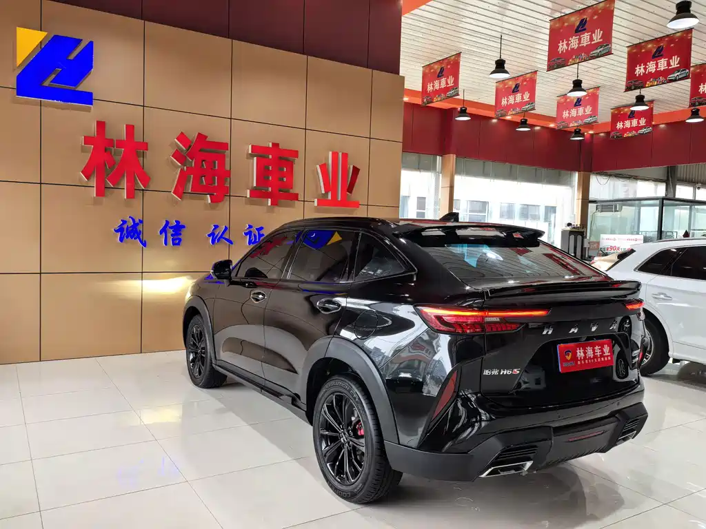Haval H6S — миниатюра 14