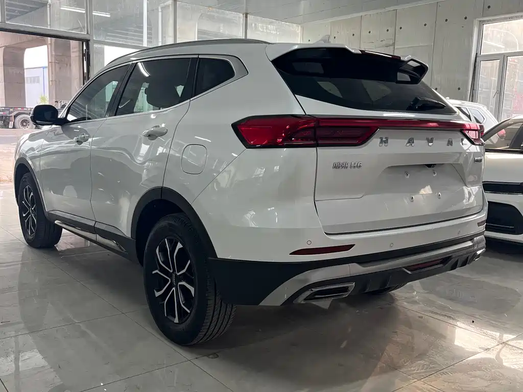 Haval H6 — миниатюра 8