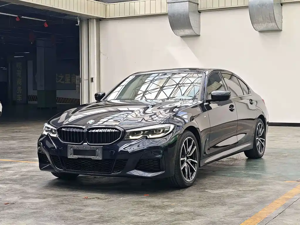 BMW 3 Series — миниатюра 2