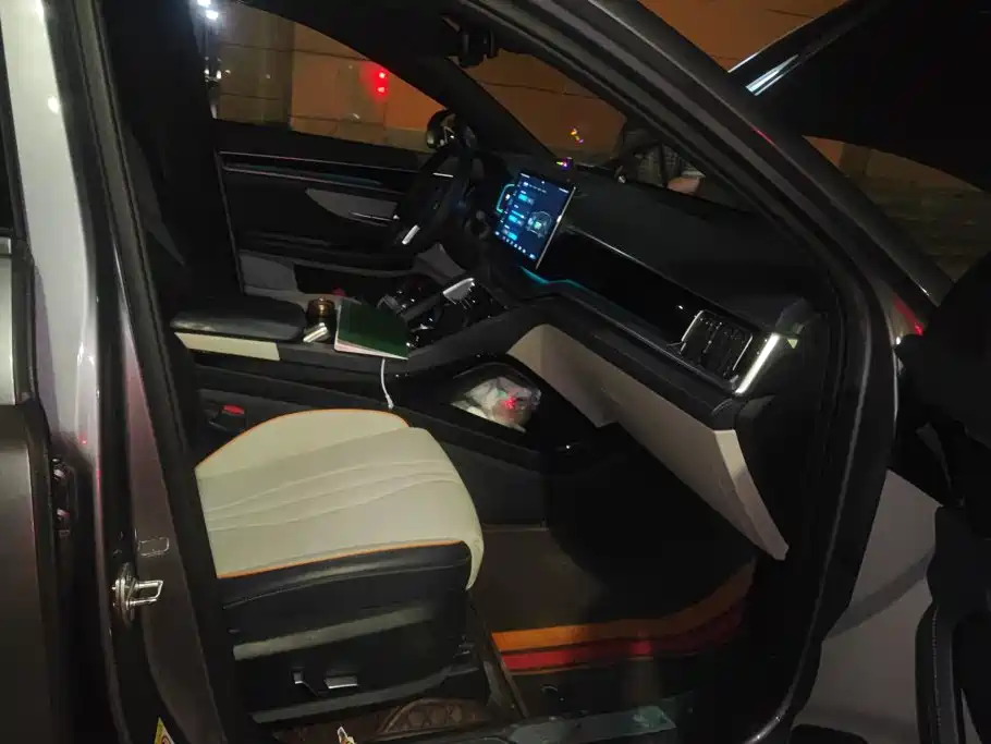 BYD PLUS New Energy — миниатюра 8
