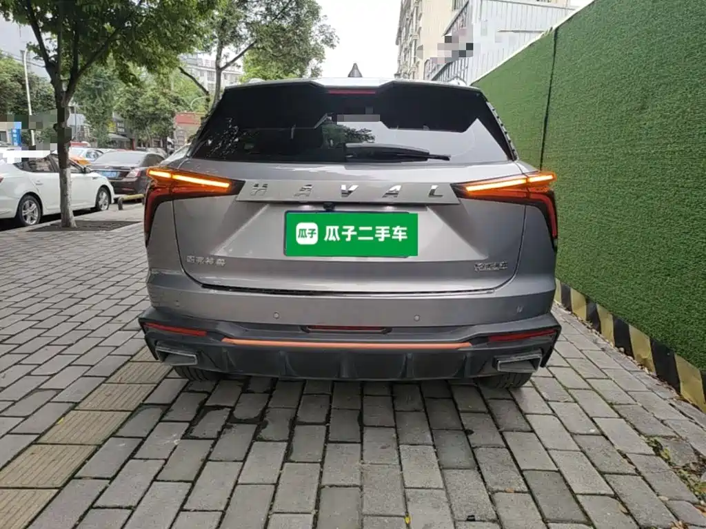 Haval Shenshou — миниатюра 6