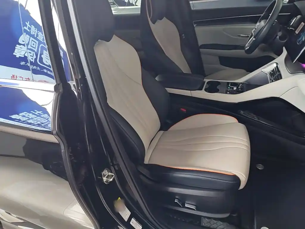 BYD PLUS New Energy — миниатюра 25