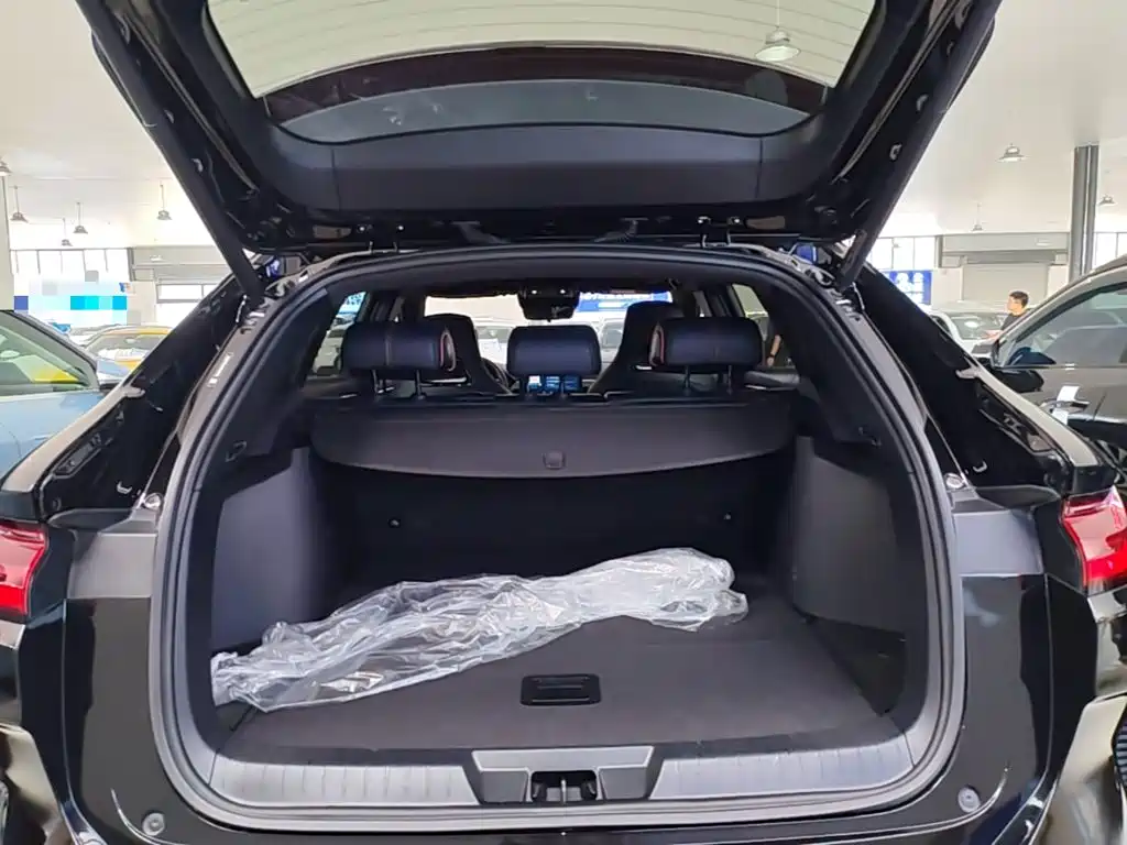 BYD PLUS New Energy — миниатюра 19