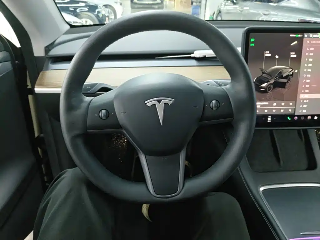 Tesla Model Y — миниатюра 11