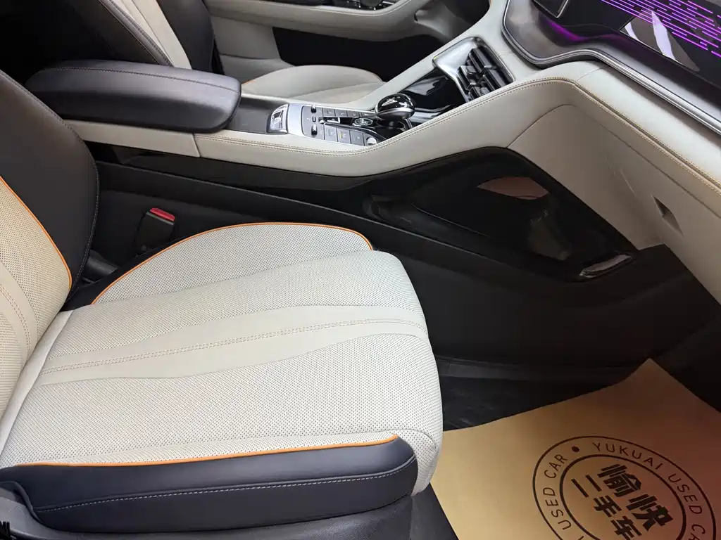 BYD PLUS New Energy — миниатюра 11