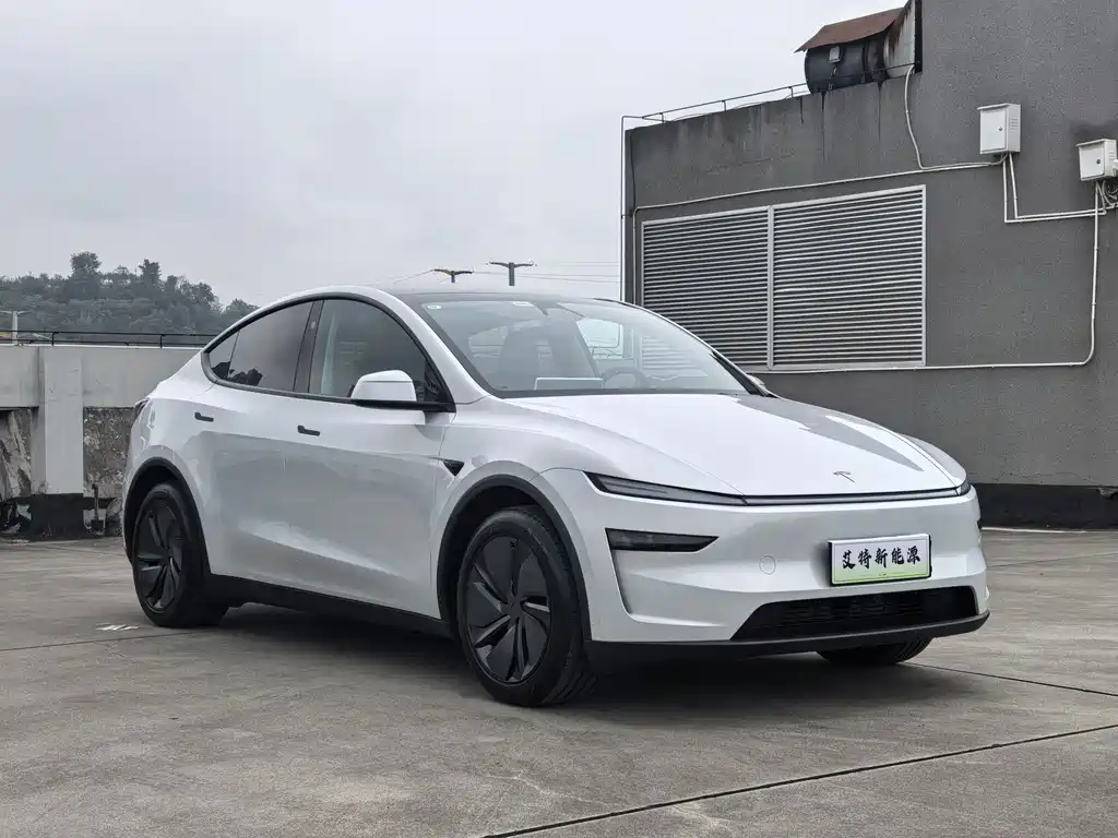 Tesla Model Y — миниатюра 2