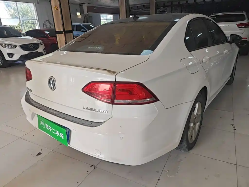 Volkswagen Lamando — миниатюра 7