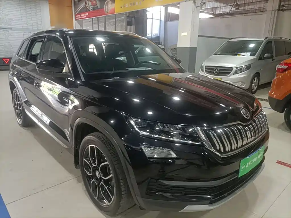 Skoda Kodiaq — миниатюра 4