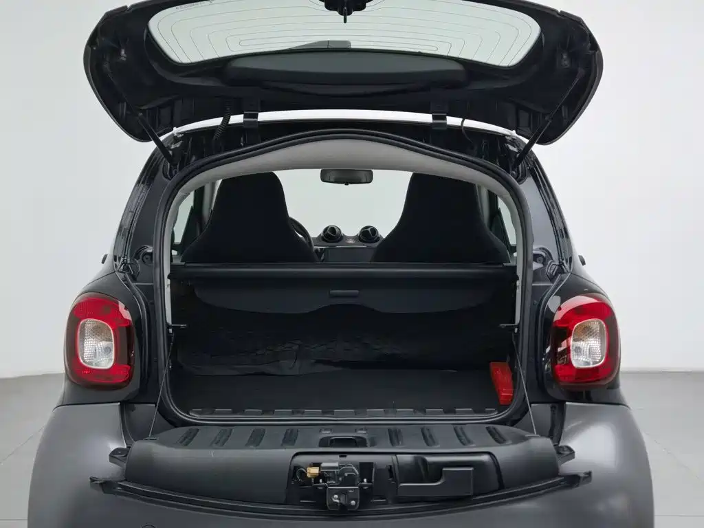 smart Smart Fortwo — миниатюра 16