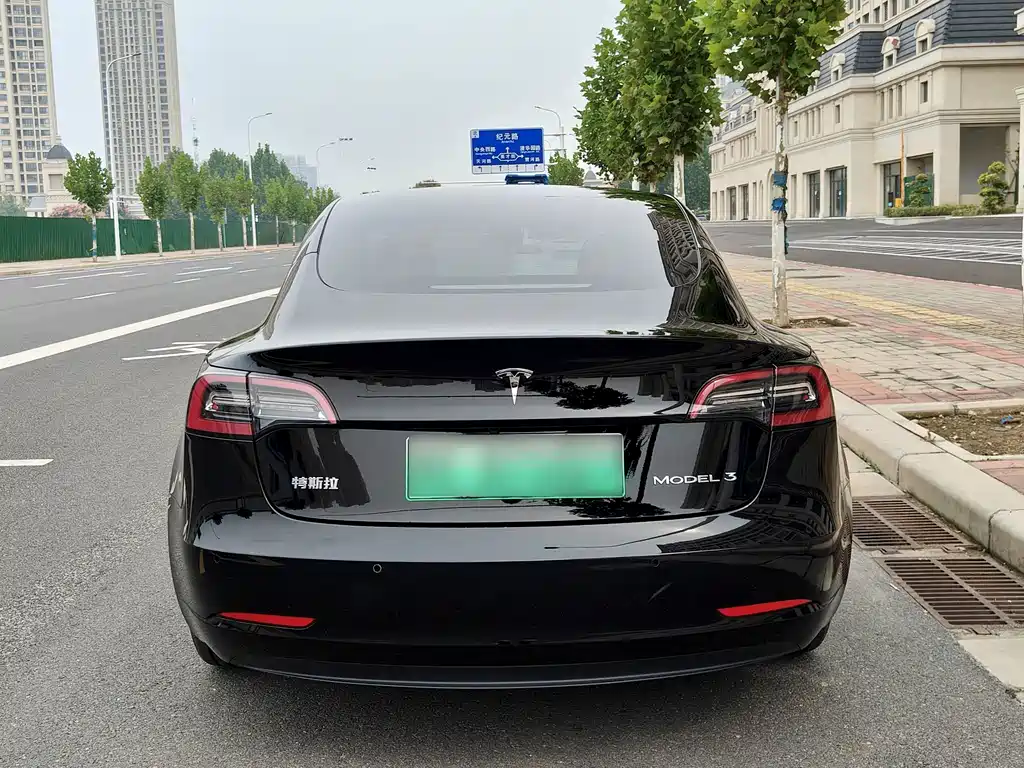 Tesla Model 3 — миниатюра 15