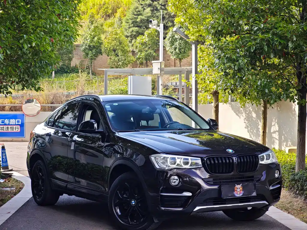 BMW X4 — миниатюра 3