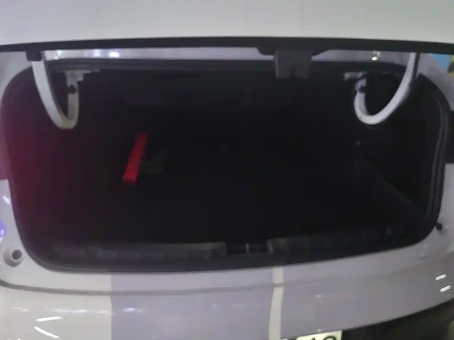 Leapmotor Leapmotor B01 — миниатюра 4