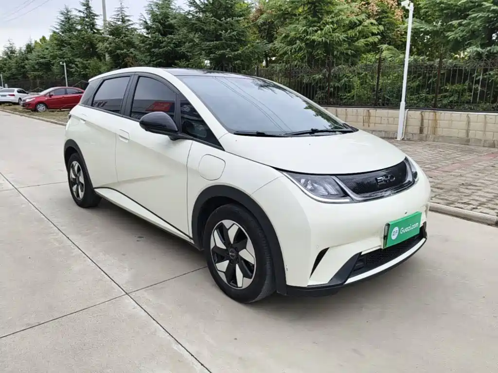 BYD Dolphin — миниатюра 4