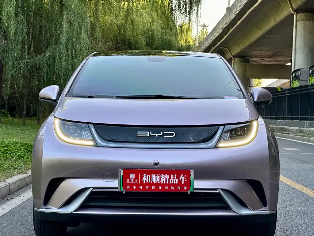 BYD Dolphin — миниатюра 21