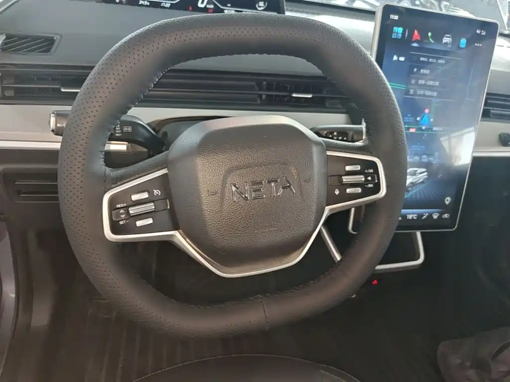 Neta Neta V — миниатюра 11