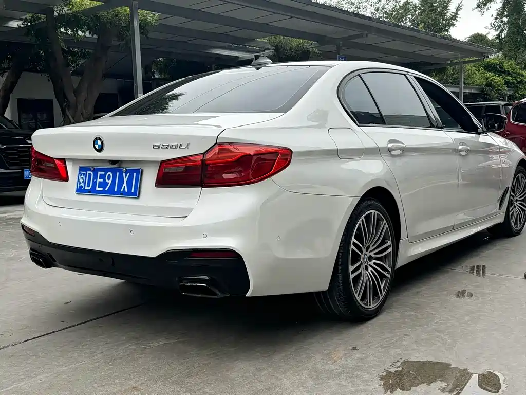 BMW 5 Series 5 2019 530Li Lead Luxury