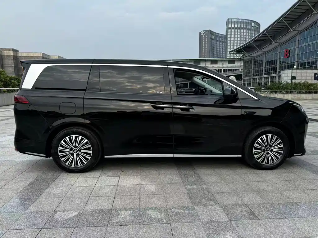 BYD Xia — миниатюра 4