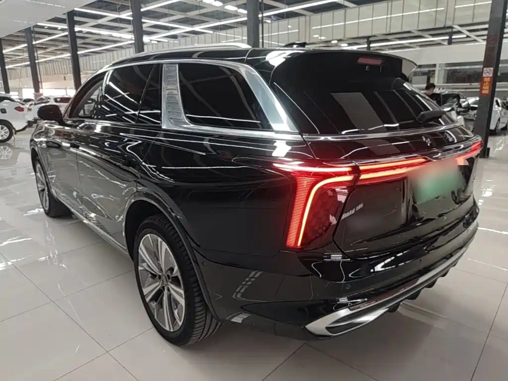 Hongqi Hongqi E-HS9 — миниатюра 5