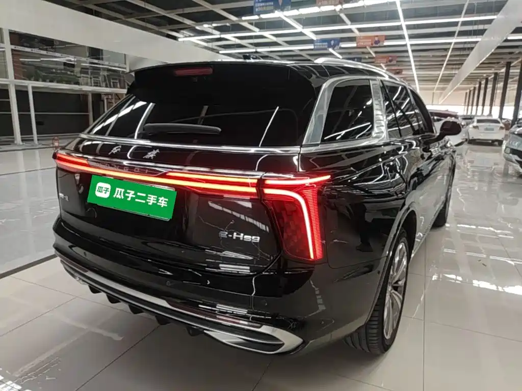 Hongqi Hongqi E-HS9 — миниатюра 7