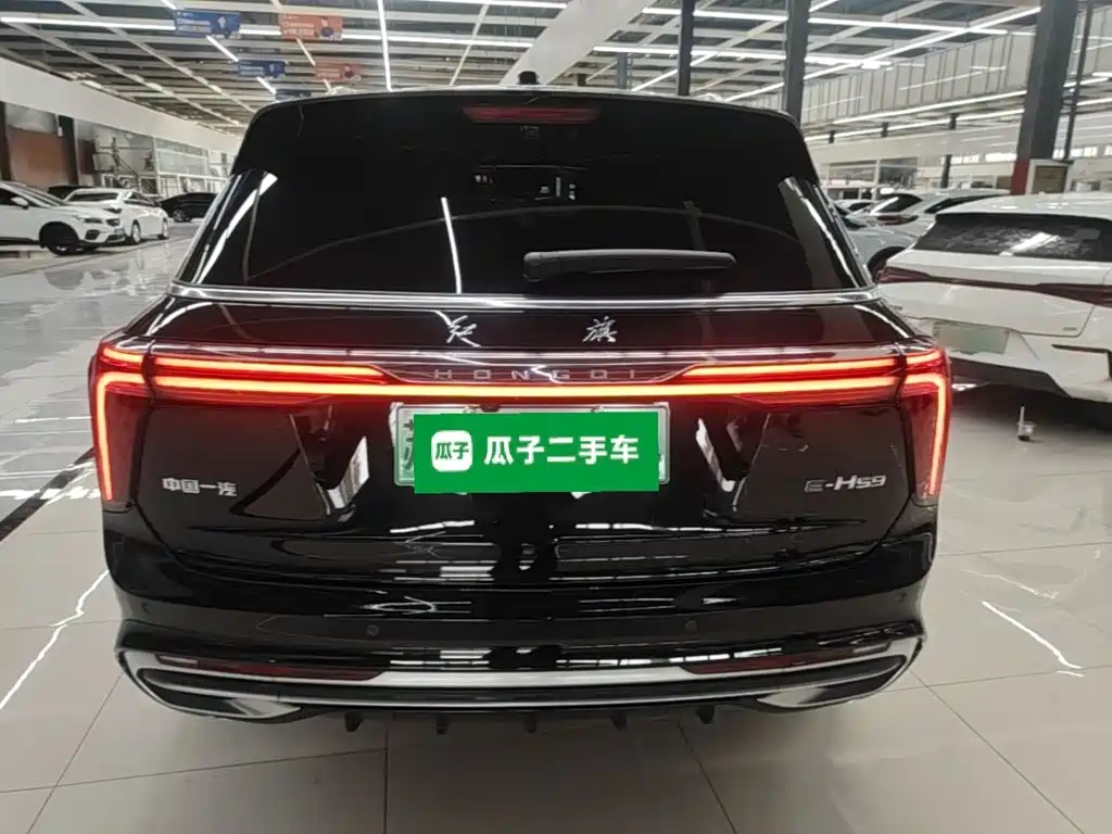 Hongqi Hongqi E-HS9 — миниатюра 6