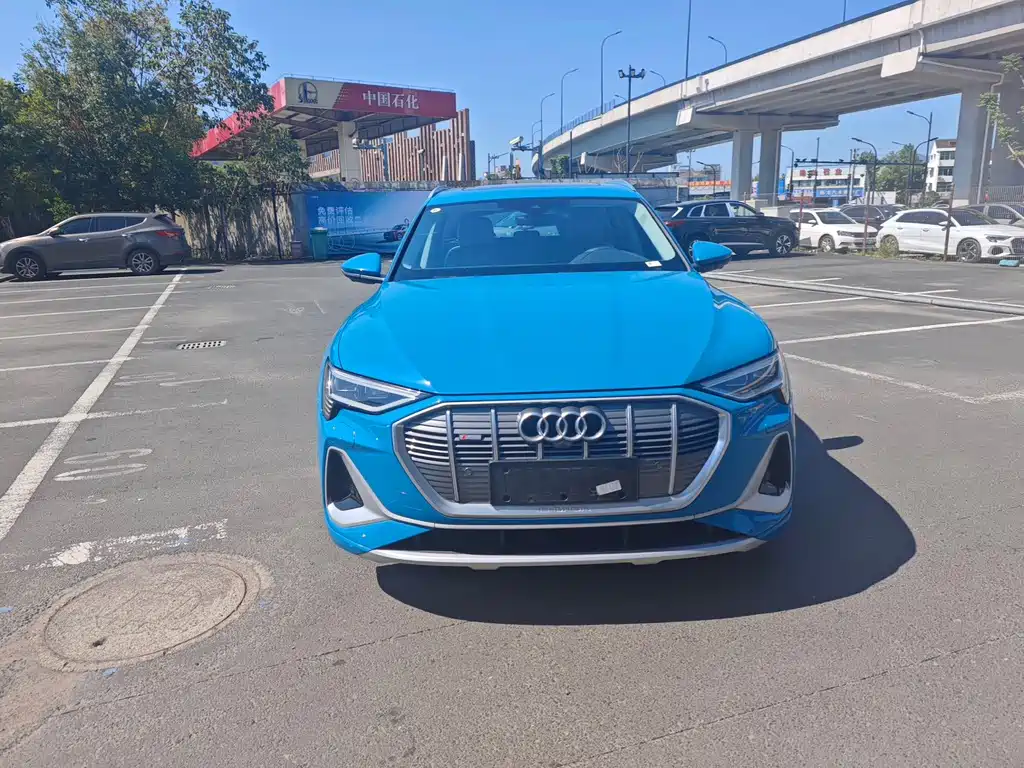 Audi e-tron — миниатюра 3