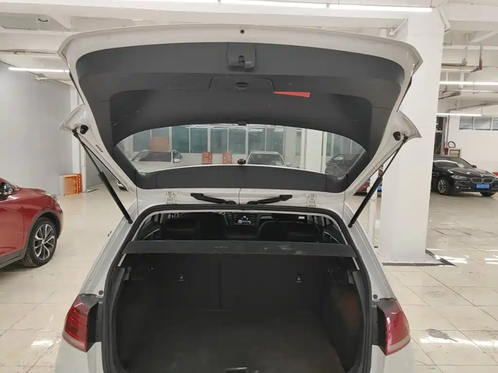 Volkswagen Golf — миниатюра 19