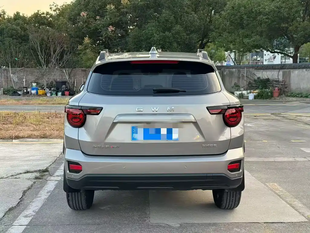 Haval Big Dog PLUS — миниатюра 8