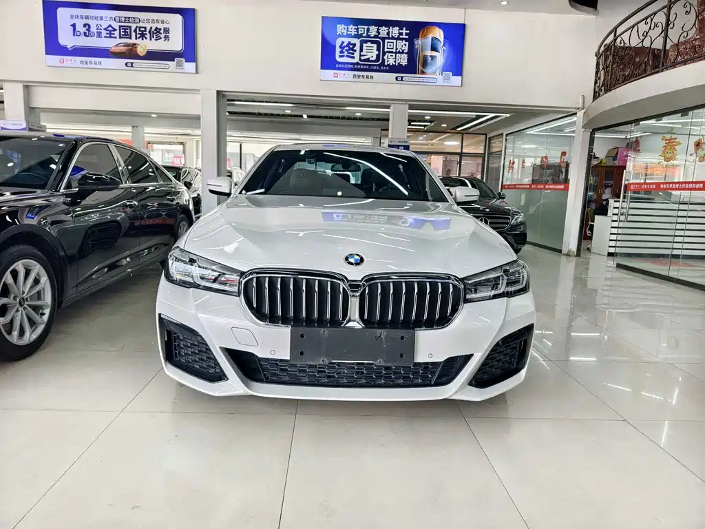 BMW 5 Series New Energy — миниатюра 3