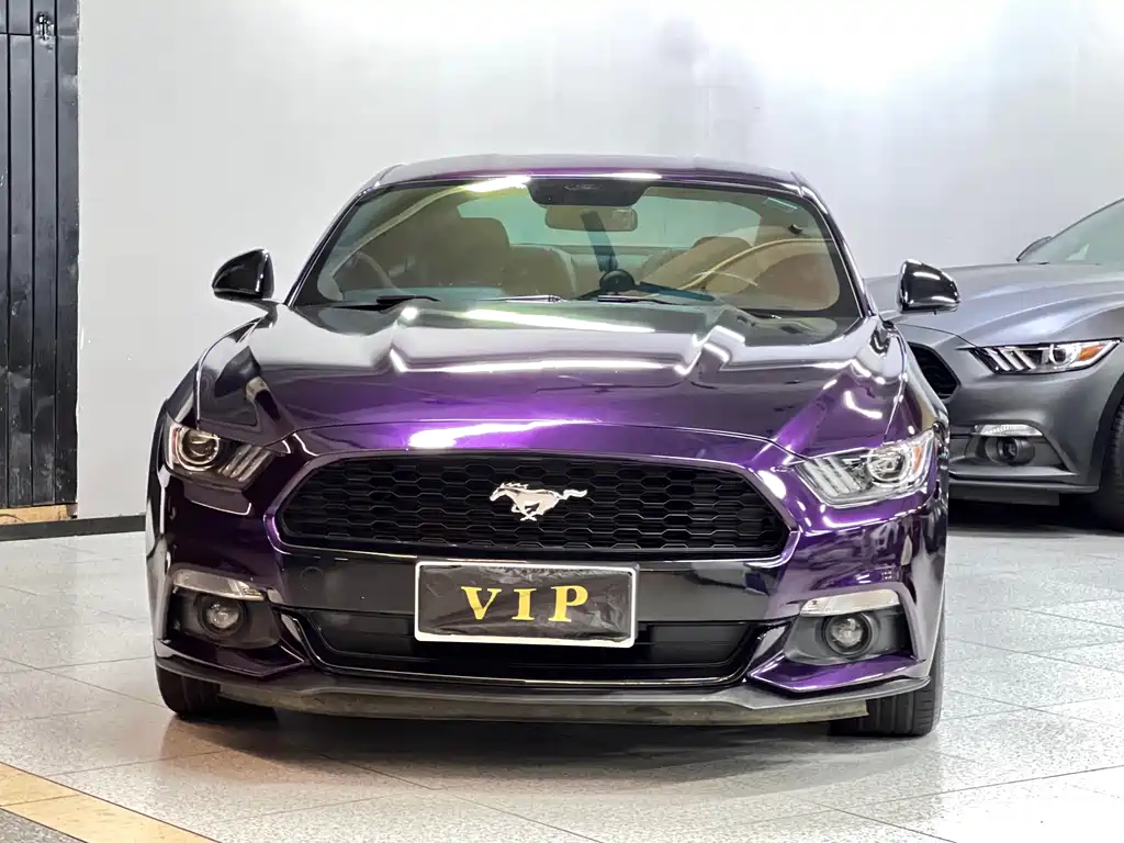 Ford Mustang — миниатюра 2