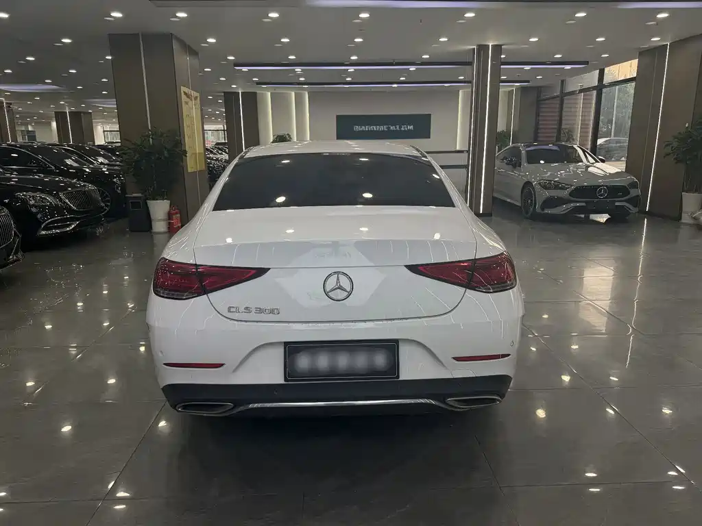 Mercedes-Benz CLS — миниатюра 8