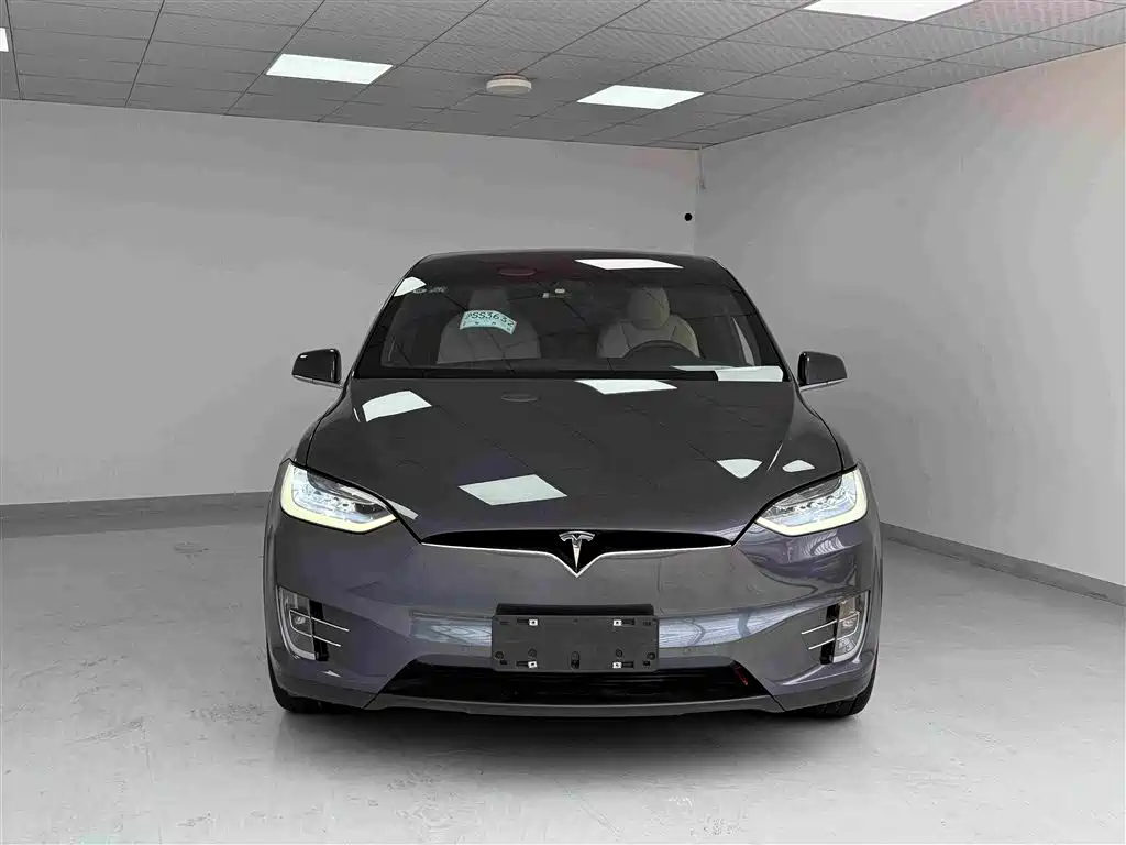Tesla Model X — миниатюра 2