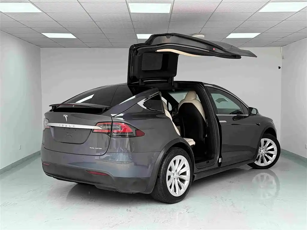 Tesla Model X — миниатюра 19