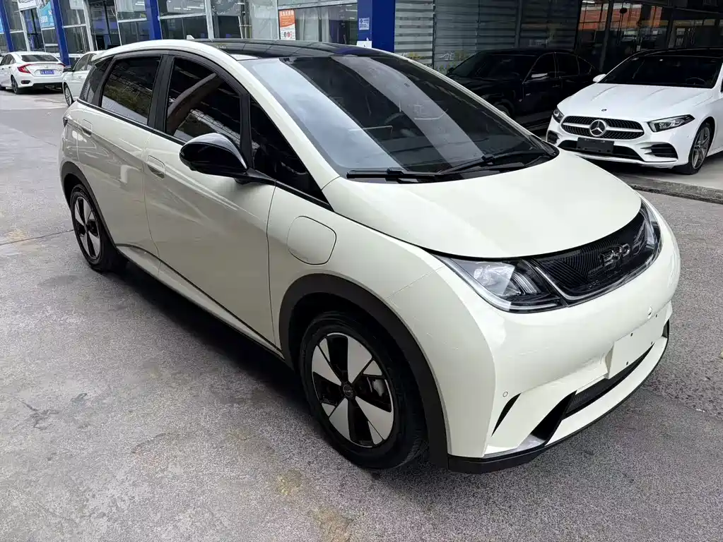 BYD Dolphin — миниатюра 3