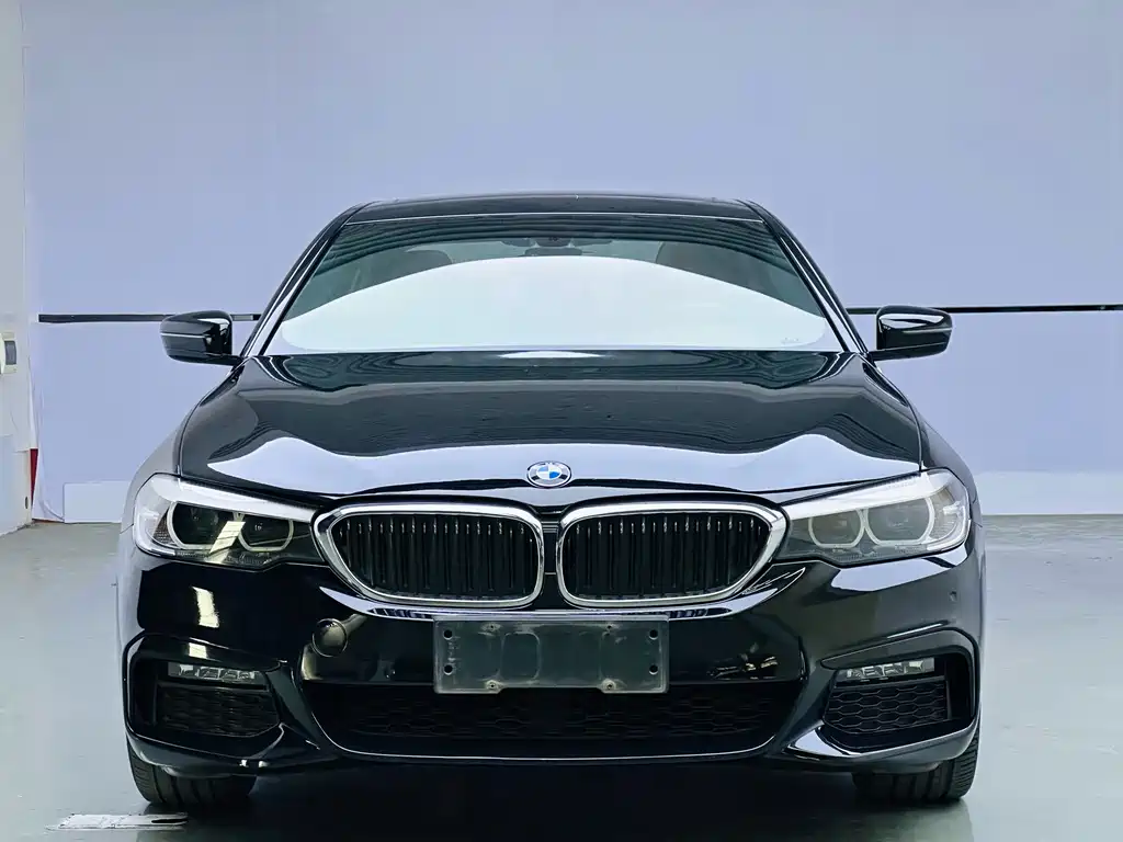BMW 5 Series 5 2019 530Li Lead M Sport