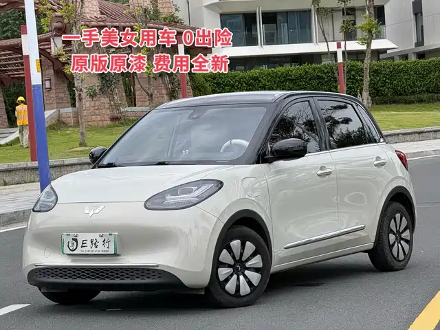 WULING AUTOMOBILE WULING BINGGUO 2023