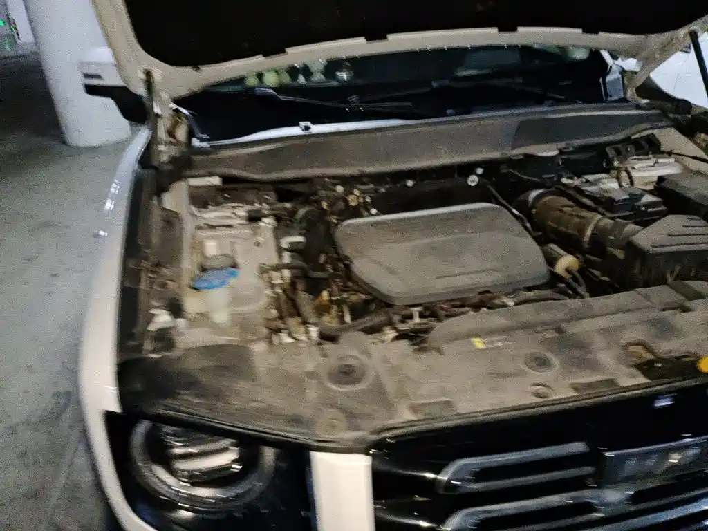 Haval Big Dog — миниатюра 21