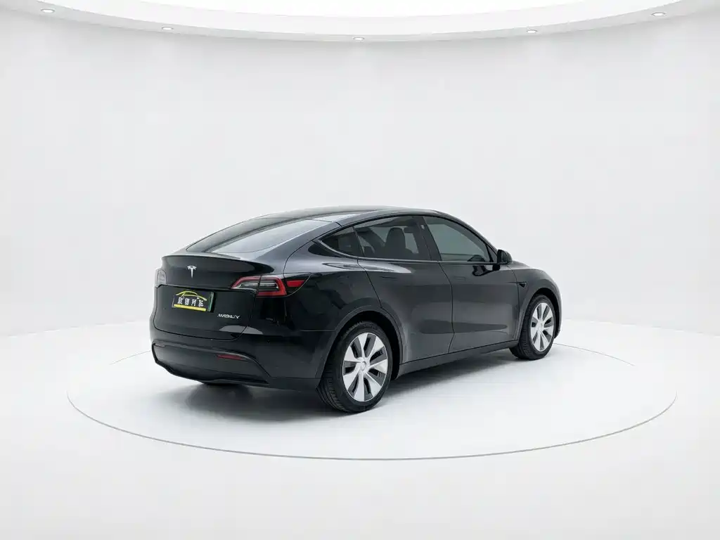 Tesla Model Y — миниатюра 11