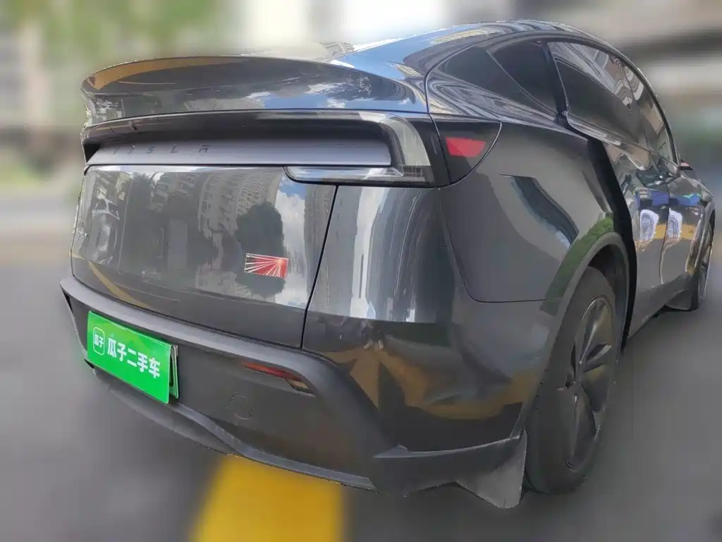 Tesla Model Y — миниатюра 4