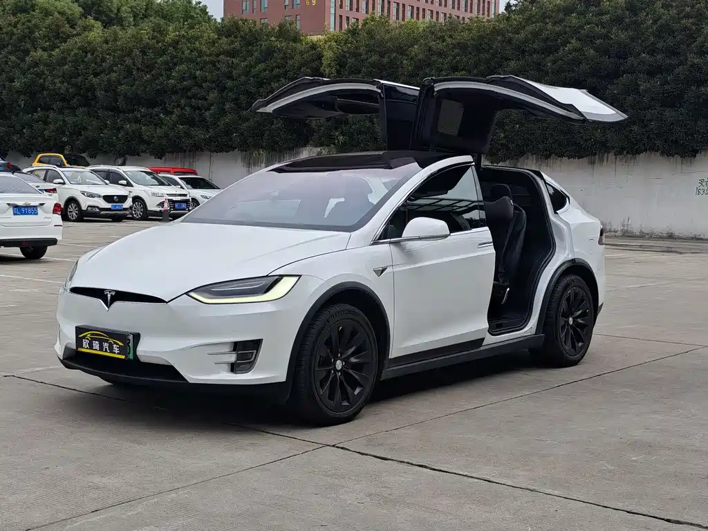 Tesla Model X — миниатюра 8