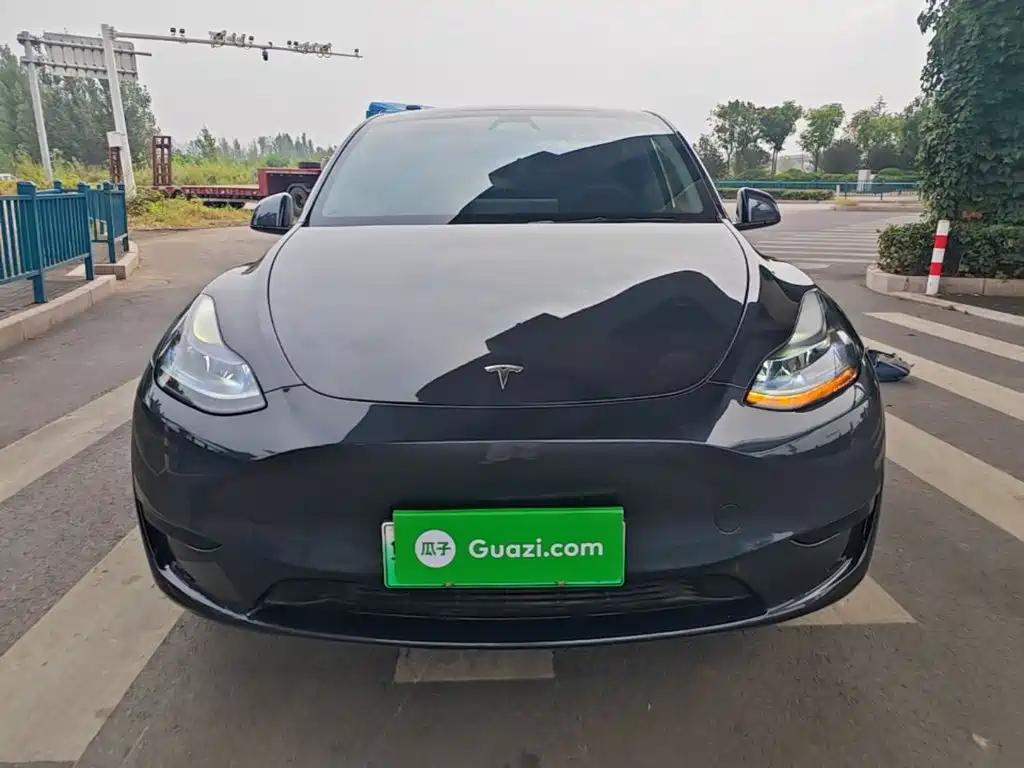 Tesla Model Y — миниатюра 3