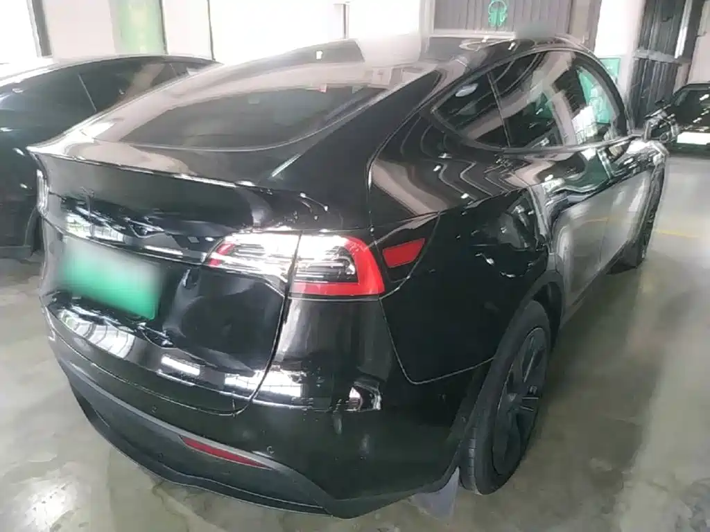 Tesla Model Y — миниатюра 7