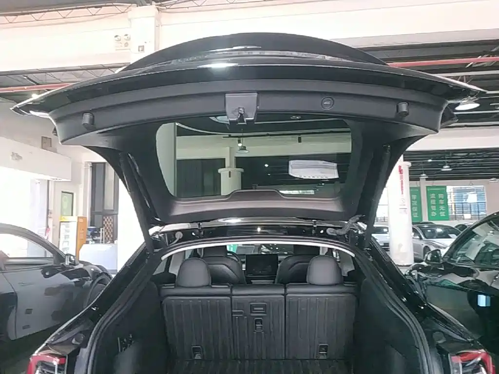 Tesla Model Y — миниатюра 19