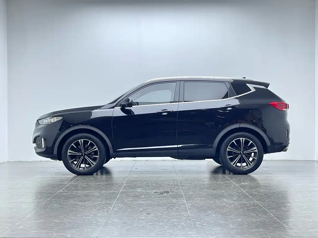 WEI PAI WEI BRAND VV6