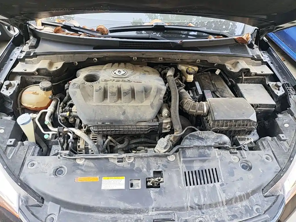 Aeolus Yixuan — миниатюра 20