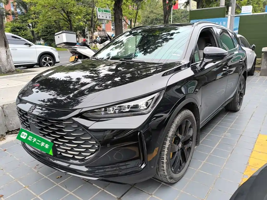 BYD Tang New Energy — миниатюра 2