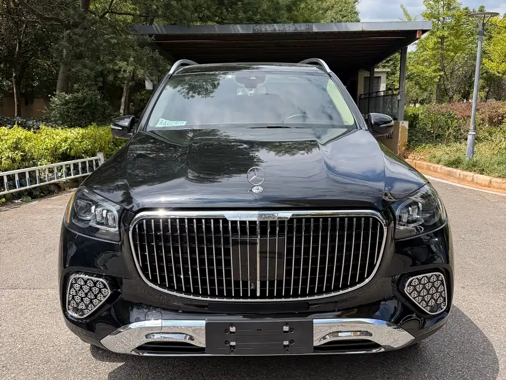 Mercedes-Benz GLS — миниатюра 2