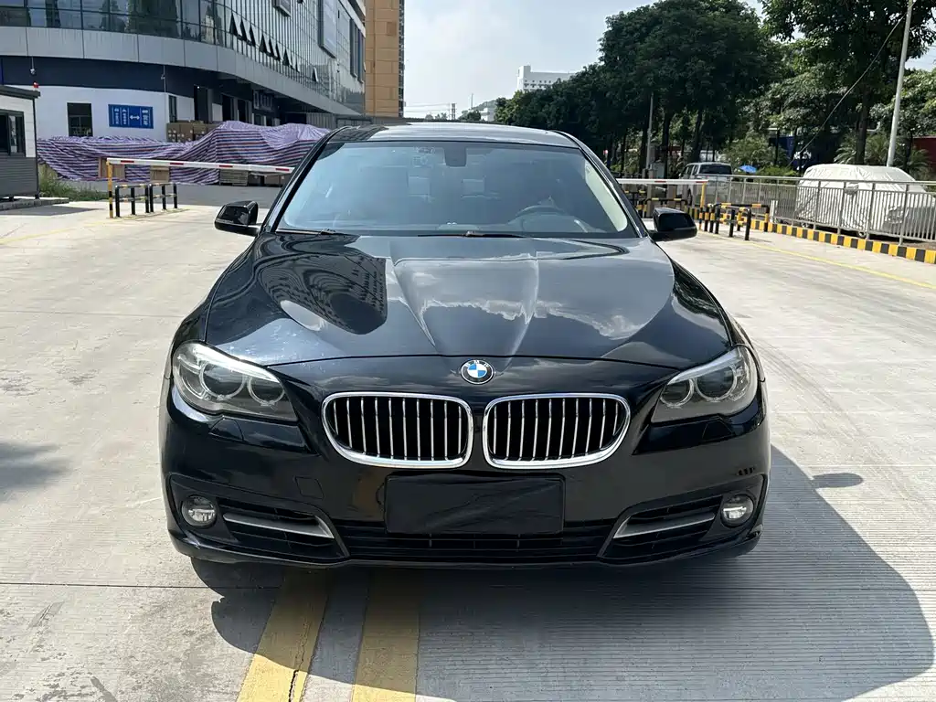 BMW 5 Series — миниатюра 2