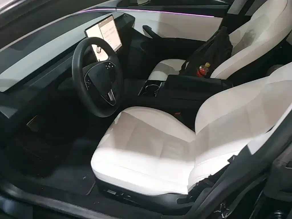 Tesla Model 3 — миниатюра 15