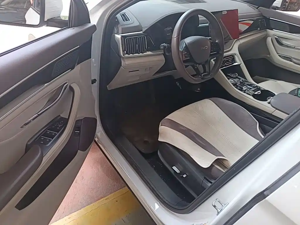 BYD PLUS New Energy — миниатюра 16